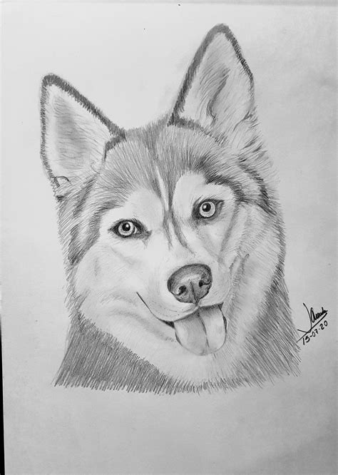 dibujos de perros para dibujar|dibujos de perros a lapiz.